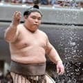 伯乃富士が４敗を守り、優勝決定戦進出の可能性に望みをつなぐ
