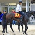 【オークス】武豊騎手のアランカールは８着　母シンハライトと同じ馬番から母子制覇狙うもかなわず