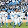 東大、29年ぶりの最下位脱出を逃す　主将「自力を上げ、秋こそは」