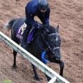 【日本ダービー・日曜気配】坂路で軽快な動き！リアライズシリウスは皐月賞以上の出来　陣営「何も言うことない状態」