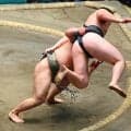 幕下付け出し大森はデビュー場所Ｖならず「ミスってしまった」優勝決定トーナメント１回戦で姿消す