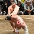 霧島、若隆景とも３敗死守　賜杯の行方は優勝決定戦に