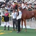 【京都１１Ｒ・都大路Ｓ】ガイアメンテがレコード勝ち　団野騎手「この年齢でもまだまだ元気いっぱい」