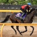 【日本ダービー・日曜気配】アスクエジンバラは鉄人・岩田康誠騎手背にＣＷコースでラスト１０秒８　「余裕があった」