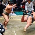 碇潟が７人の決勝トーナメント制し幕下初優勝　天空海を変化で下し「絶対決まると思っていた」