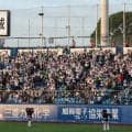 プロ野球中継で騒然…スタンドにいた“美女”の正体　本人も驚く大バズり「さすが」