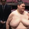 「脚が細い」185センチ巨漢力士、ギャップ全開“ほっそり”美脚 立ち合い直後の結末に「崩れ落ちた」「膝悪いのかな」心配の声