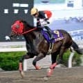 【高知競馬】船橋のライラボンドが福永洋一記念制覇　鞍上は川崎の野畑凌騎手