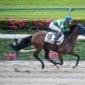 【東京3R】武豊アイムインディが快勝…3馬身半差の完勝劇