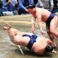 藤凌駕「サイズは小さいが重みがあった」若隆景に肩すかしで敗れる　入幕２場所目でＶ争いに自信