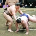 八角理事長、伯乃富士の立ち合い変化に苦言「勝っても意味がない　師匠にしっかり指導してもらいたい」