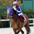 ８歳の古豪が岩手移籍初戦を快勝　あすなろ賞でラッキードリームが重賞１４勝目