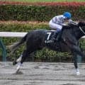 【東京12R】武豊ギュルヴィが完勝でオープン入り…早め先頭からねじ伏せる