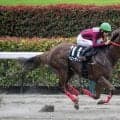 【三峰山特別】ヘニーガイストが1年4ヶ月ぶり復活V…ブランク感じさせぬ5馬身差圧勝