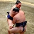 霧島「今まで取ってきた相撲をやり続けるしかない」２場所連続優勝逃し名古屋場所での綱とりへ