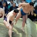義ノ富士、初賜杯ならずも２度目の敢闘賞「先場所の負け越しが力になった」　来場所は新三役が確実