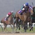 【盛岡・あすなろ賞】ラッキードリームが貫禄の勝利…笹川翼「気難しいけど力はある」