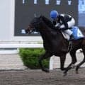 地方競馬を代表する名手・宮川実騎手が2500勝達成、高知で節目飾る