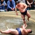 入幕２場所目の藤凌駕「自分の相撲を取れることが多かった」10勝５敗で優勝争いに食い込み自信
