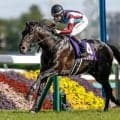 競馬の祭典・日本ダービーなど3重賞/今週の競馬界の見どころ