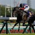 【日本ダービー登録馬】皐月賞馬ロブチェンなど20頭