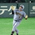 阪神・ドラ１立石　大きかった大学時代の挫折　３年時に日本代表で結果残せず自主的に分析ノート　体づくりの意識も変化