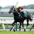 【葵S見どころ】中央初戦の重賞でいきなり勝利を収めたエイシンディードが好戦必至
