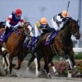 【浦和・プラチナC枠順】さきたま杯を占う一戦 前走重賞Vのツーシャドーは4枠4番