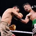 【ボクシング】山中慎介は井岡一翔を破った井上拓真を「完璧」と評価も「倒しきる展開も見たい」　那須川天心との再戦など今後は？