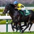 【日本ダービー】21世紀以降で4勝を挙げる毎日杯覇者 伏兵のアルトラムスが一発狙う