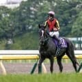 【先週のJRA抹消馬】GI・2勝のアスコリピチェーノ、昨年の関屋記念を制したカナテープなど