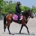 【葵Ｓ】ガラベイヤは出走できれば好勝負可能　加藤士調教師「抽選を通れば楽しみです」