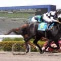 【浦和競馬】福原杏騎手が新馬戦連勝　センチュリースター＆ワイルドウルル