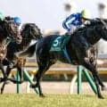 【AI予想・日本ダービー】能力やコース経験に不安なし！ 前走の内容も光る人工知能の本命候補