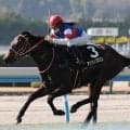 【葵S展望】人気薄になりそうな牝馬の激走に期待