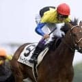 日本ダービー着差ランキングTOP5 ディープインパクトを超える87年の6馬身差圧勝劇が1位