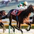 【日本ダービー】木村哲也調教師が悲願の初制覇へ パントルナイーフが激変決めるか
