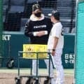 【阪神】交流戦ならでは　日本ハム新庄監督が和田ヘッドコーチとあいさつ、島本浩也も元同僚らに
