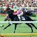 【初めてのダービー１】１９９０年ナカノコール痛恨の見逃し...アイネスフウジン世代の吉田哲也記者～スポーツ紙・夕刊紙８紙特別企画～