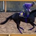 【日本ダービー】７年連続参戦の友道厩舎　今年は「滑り込み」５・９億円ホースのエムズビギンで下克上狙う