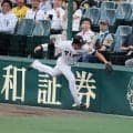 【阪神】ドラ１立石正広に拍手喝采　甲子園初の三塁守備で好プレー　ピックアップ練習の成果出た