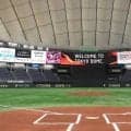 ボールボーイが捕逸のボールに触る珍プレー　巨人－ソフトバンク戦の五回、巨人の攻撃中に　責任審判が場内アナウンスで状況説明