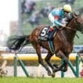 【目黒記念予想オッズ】ウィクトルウェルスが予想1番人気
