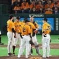 【巨人】インプレー中のボールを係員が回収するアクシデント、記録はパスボール