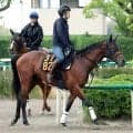 【葵Ｓ】「３戦続けて１分７秒台。ここでも通用していい」尾形調教師も手応え　６ハロンで素質開花したロジケープ　