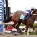 【浦和競馬】「牝馬ですがパワーがある」笹川翼騎手騎乗のオーキッドティアラが逃げ切り新馬勝ち