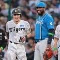 【阪神】伏見寅威が昨季最優秀バッテリー元相棒撃ち「相手どうこうとか言ってられない」