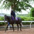 【日本ダービー】手塚貴久調教師、悲願達成へ思い「年々強くなっています」…有力馬リアライズシリウス＆アウダーシア２頭出し