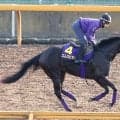 ５億９０００万円馬エムズビギンが下克上Ｖ狙う　ダービー現役最多３勝の友道康夫調教師「力を出し切ってほしい」
