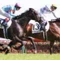 【ダービー記録】最多勝　ジョッキーは武豊騎手の６勝　種牡馬ではディープインパクト７勝　馬主はサンデーレーシング５勝